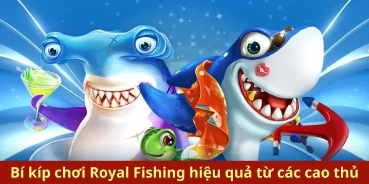 Tham Gia Bắn Cá Royal Fishing MU88 Để Săn Thưởng Lớn Ngay Hôm Nay 2 Tham Gia Bắn Cá Royal Fishing MU88 Để Săn Thưởng Lớn Ngay Hôm Nay
