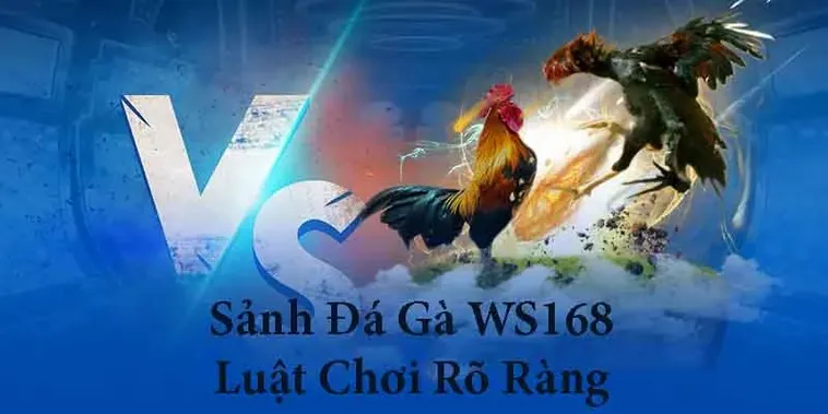 Tham Gia Đá Gà WS168 Tại MU88 Thắng Lớn Ngay Hôm Nay